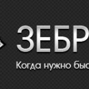 Купил Зеброид — программа для массового создания сателлитов