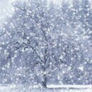 Как добавить снег на сайт? Падающий снег на вашем сайте