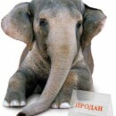 Как правильно размещать рекламу