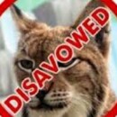 Отсечение неправильных ссылок