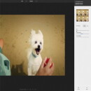 Фоторедактор в социальной сети Google+